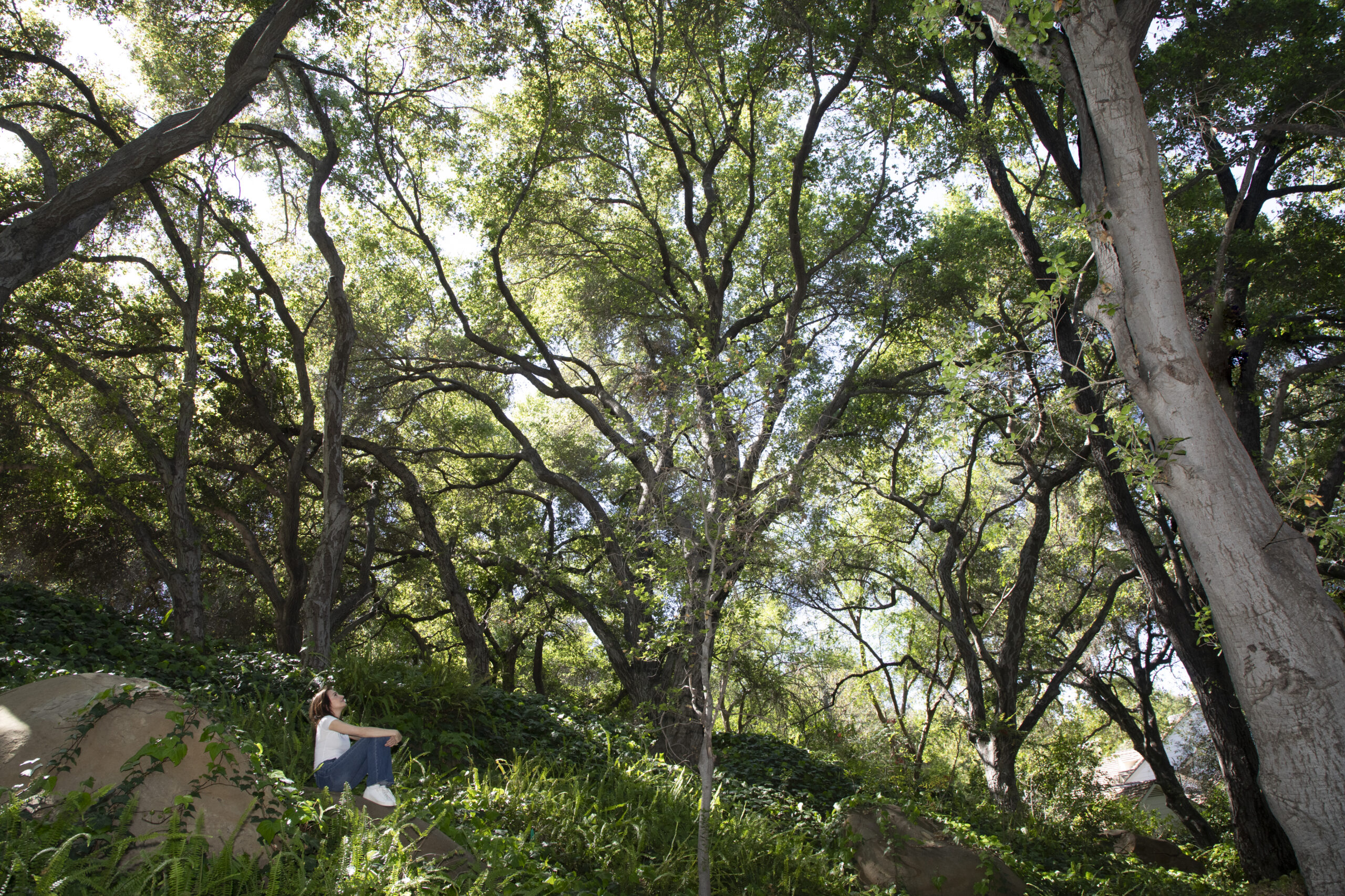 MB_0321-Edit Licensed therapist in Los Angeles offering EMDR, IFS, and Ketamine-Assisted Psychotherapy. Begin your healing journey today.